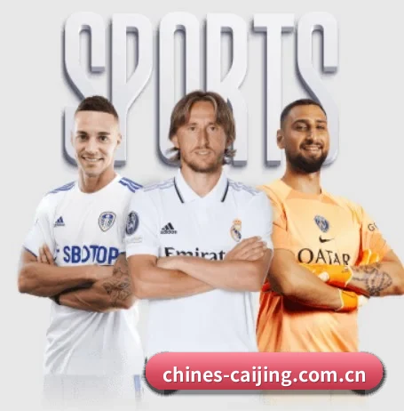彩经网的故事